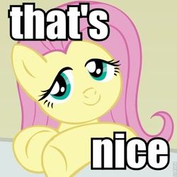 Size: 600x600 | Tagged: safe, artist:megasweet, fluttershy, pegasus, pony, bust, female, image macro, lidded eyes, looking at you, mare, meme, ponified reaction image, reaction image, smiling, solo, text, that's nice