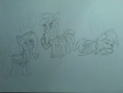 Size: 1600x1200 | Tagged: safe, artist:phenya, artist:phoenixb159, fluttershy, rainbow dash, oc, oc:coke pony, original species, pegasus, pony, monochrome, ponified, sleeping, traditional art