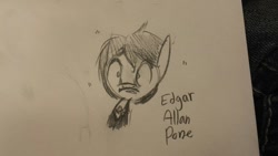 Size: 1280x720 | Tagged: safe, artist:tjpones, edgar allan poe, monochrome, ponified, pun, solo, traditional art