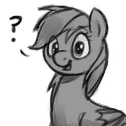 Size: 500x500 | Tagged: safe, artist:selenophile, rainbow dash, pegasus, pony, confused, cute, looking at you, monochrome, open mouth, question mark, sketch, smiling, solo