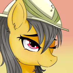 Size: 600x600 | Tagged: safe, artist:dashy21, derpibooru import, daring do, bust, hat, one eye closed, portrait, solo, wink