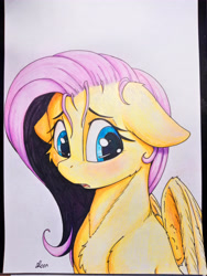 Size: 3456x4608 | Tagged: safe, artist:alcor, derpibooru import, fluttershy, pegasus, pony, blushing, bust, cheek fluff, chest fluff, cute, eyelashes, female, floppy ears, fluffy, high res, looking down, looking sideways, mare, open mouth, photo, portrait, signature, simple background, solo, stray strand, three quarter view, traditional art, wings