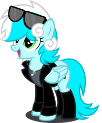 Size: 1280x1548 | Tagged: safe, artist:fletcherthehuntress, derpibooru import, oc, oc:cloudsky, pegasus, pony, clothes, female, jacket, mare, simple background, solo, sunglasses, transparent background