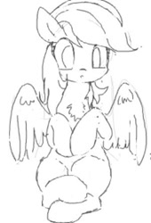 Size: 302x443 | Tagged: safe, artist:yoditax, rainbow dash, pegasus, pony, monochrome, sketch, solo