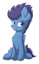 Size: 1219x2000 | Tagged: safe, artist:nighty, derpibooru exclusive, derpibooru import, oc, oc only, pegasus, pony, 2019 community collab, chest fluff, colored pupils, derpibooru community collaboration, ear fluff, male, simple background, sitting, smiling, solo, transparent background, wings