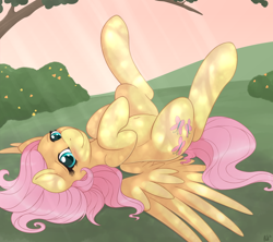 Size: 3000x2661 | Tagged: safe, artist:ratofdrawn, fluttershy, pegasus, pony, bedroom eyes, belly button, blushing, crepuscular rays, cute, dappled sunlight, explicit source, female, innocent, legs in air, looking at you, mare, on back, shyabetes, smiling, solo, spread wings