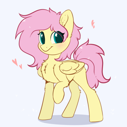 Size: 1024x1024 | Tagged: safe, artist:kebchach, derpibooru import, fluttershy, pegasus, pony, :t, alternate hairstyle, blushing, chest fluff, cute, ear fluff, female, fluffy, folded wings, heart, leg fluff, looking at you, mare, messy mane, missing cutie mark, raised hoof, shyabetes, simple background, smiling, solo, standing, three quarter view, white background, wing fluff, wings