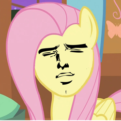 Size: 748x748 | Tagged: safe, edit, edited screencap, screencap, fluttershy, pegasus, pony, face swap, yaranaika