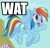 Size: 323x311 | Tagged: safe, rainbow dash, pegasus, pony, derp, great moments in animation, image macro, reaction image, smear frame