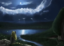 Size: 1000x720 | Tagged: dead source, safe, artist:rublegun, derpy hooves, pegasus, pony, cloud, cloudy, crepuscular rays, female, lake, mare, moon, night, solo