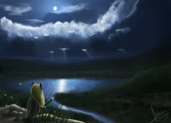 Size: 1000x720 | Tagged: dead source, safe, artist:rublegun, derpy hooves, pegasus, pony, cloud, cloudy, crepuscular rays, female, lake, mare, moon, night, scenery, solo