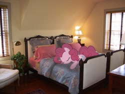 Size: 2048x1536 | Tagged: safe, artist:mixermike622, pinkie pie, earth pony, pony, bed, female, irl, mare, photo, ponies in real life, sleeping, solo, vector