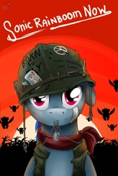 Size: 536x798 | Tagged: safe, artist:doomy, princess celestia, rainbow dash, alicorn, pegasus, pony, apocalypse now, army, dog tags, female, full metal jacket, mare, mouth hold, movie poster, parody, photo, vietnam, vietnam war