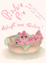 Size: 1920x2600 | Tagged: dead source, safe, artist:fruitbloodmilkshake, pinkie pie, earth pony, pony, adoption, basket, biting, bronybait, cute, diapinkes, female, filly, foal, multeity, pet, pony in a basket, solo, tail bite, text, too much pink energy is dangerous, younger