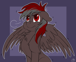 Size: 1232x1000 | Tagged: dead source, safe, artist:meggchan, oc, oc only, oc:soren nightsky, pegasus, pony, chest fluff, floppy ears, male, puffy cheeks, solo, spread wings, stallion