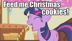 Size: 710x405 | Tagged: safe, twilight sparkle, animated, bronybait, christmas, cookie, gif, gingerbread (food), gingerbread pony, image macro, solo