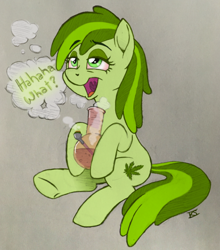 Size: 758x863 | Tagged: safe, artist:glamourkat, derpibooru import, oc, oc:stoney poney, earth pony, pony, bloodshot eyes, bong, cloud, dialogue, drugs, high, lidded eyes, marijuana, open mouth, simple background, sitting, smoking, solo, stoned, text