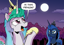 Size: 2631x1860 | Tagged: safe, artist:pony-berserker, derpibooru import, princess celestia, princess luna, alicorn, pony, female, full moon, i can't believe it's not idw, is this a pigeon, luna is not amused, mare, meme, moon, royal sisters, unamused