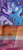 Size: 540x1160 | Tagged: safe, derpibooru import, edit, screencap, starlight glimmer, trixie, pony, drake & josh, female, lesbian, lesbian pride flag, megan parker, meme, pride, shipping, startrix