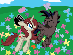 Size: 902x683 | Tagged: safe, artist:alisonwonderland1951, oc, oc only, oc:akira, oc:stormy, alicorn, butterfly, hybrid, pony, zebra, zebroid, alicorn oc, bow, vector