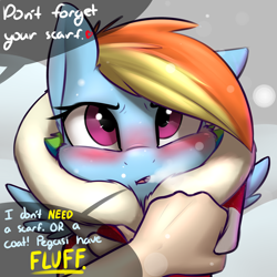 Size: 2400x2400 | Tagged: safe, artist:captainpudgemuffin, rainbow dash, human, pony, :o, blushing, breath, captainpudgemuffin is trying to murder us, clothes, coat, cute, dashabetes, embarrassed, fluffy, glare, heart, looking at you, offscreen character, offscreen human, open mouth, scarf, snow, snowfall, speech bubble, squishy cheeks, sweet dreams fuel, tsunderainbow, tsundere