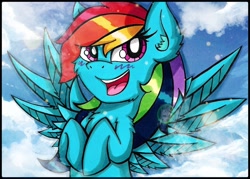 Size: 1024x733 | Tagged: safe, artist:canvymamamoo, derpibooru import, rainbow dash, pegasus, pony, blushing, chest fluff, cloud, ear fluff, female, happy, mare, open mouth, smiling, solo, spread wings, wings