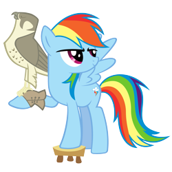 Size: 2333x2333 | Tagged: safe, artist:breadking, rainbow dash, pegasus, pony, may the best pet win, falcon, falconry, peregrine falcon, simple background, solo, stool, transparent background, vector