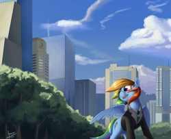 Size: 3000x2437 | Tagged: safe, artist:rublegun, rainbow dash, pegasus, pony, city, clothes, solo, suit