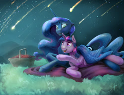 Size: 2000x1545 | Tagged: safe, artist:silfoe, princess luna, twilight sparkle, twilight sparkle (alicorn), alicorn, pony, basket, commission, female, grass, lesbian, meteor shower, open mouth, picnic basket, raised hoof, scenery, shipping, stargazing, stars, twiluna, wing blanket, wings