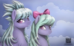 Size: 5333x3333 | Tagged: safe, artist:unnop64, cloudchaser, flitter, pegasus, pony, absurd resolution, female, mare