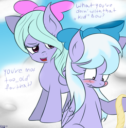 Size: 1663x1700 | Tagged: safe, artist:freefraq, cloudchaser, flitter, pegasus, pony, bow, female, mare