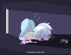 Size: 1800x1400 | Tagged: safe, artist:aurura, cloudchaser, flitter, bow, dark, pixiv, sleeping, window