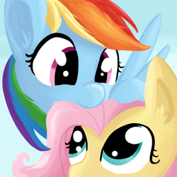 Size: 1008x1008 | Tagged: safe, artist:tjpones, fluttershy, rainbow dash, pegasus, pony, bust, cute, female, flutterdash, lesbian, nom, nuzzling, portrait, shipping, smiling