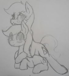 Size: 1529x1690 | Tagged: safe, artist:anearbyanimal, earth pony, pony, epona, female, mare, monochrome, pencil drawing, ponified, the legend of zelda, traditional art