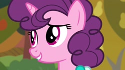 Size: 1920x1080 | Tagged: safe, derpibooru import, screencap, sugar belle, pony, the big mac question, solo