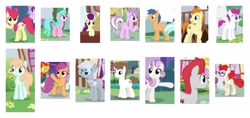 Size: 2171x1025 | Tagged: safe, artist:jaredking203, derpibooru import, screencap, apple bloom, aquamarine, boysenberry, diamond tiara, first base, gallop j. fry, little red, peach fuzz, scootaloo, silver spoon, super funk, sweetie belle, train tracks (character), twist, earth pony, pegasus, pony, unicorn, the last problem, collage, female, male, mare, older, older apple bloom, older aquamarine, older boysenberry, older diamond tiara, older first base, older gallop j. fry, older little red, older peach fuzz, older scootaloo, older silver spoon, older super funk, older sweetie belle, older train tracks (character), older twist, stallion, white background