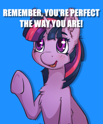 Size: 2077x2497 | Tagged: safe, artist:senaelik, derpibooru import, edit, twilight sparkle, caption, image macro, positive ponies, text