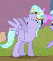 Size: 291x334 | Tagged: safe, edit, edited screencap, screencap, cloudchaser, flitter, hurricane fluttershy, animated, cropped, goggles, laughing, laughingmares.jpg, loop, offscreen character, solo focus
