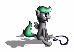 Size: 2941x2071 | Tagged: safe, artist:marsminer, oc, oc only, oc:silver lining, pegasus, pony, behaving like a dog, collar, digital art, leash, sitting, solo, tongue out