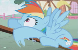 Size: 1121x723 | Tagged: safe, screencap, rainbow dash, pegasus, pony, applebuck season, animated, cute, dashabetes, flailing, hoofy-kicks, loop, noodle arms, oh crap, open mouth, prone, scared, seesaw, solo, spread wings, talking, wide eyes