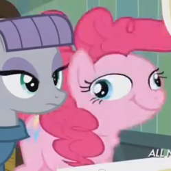 Size: 329x330 | Tagged: safe, screencap, maud pie, pinkie pie, earth pony, pony, maud pie (episode), :t, derp, didney worl, faic, female, great moments in animation, mare, ponk, ponkie poy, smear frame, smiling, wat