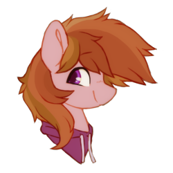 Size: 1024x1024 | Tagged: safe, artist:orchidpony, oc, oc only, oc:stuben, earth pony, clothes, head only, hoodie, simple background, solo, transparent background