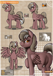 Size: 1024x1462 | Tagged: safe, artist:jcosneverexisted, oc, oc only, oc:copper crescendo, pegasus, pony, dock, featureless crotch, looking at you, plot, raised hoof, reference sheet, smiling, solo