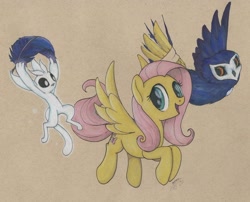 Size: 2568x2077 | Tagged: safe, artist:brisineo, fluttershy, bird, owl, pegasus, pony, bandage, bandaged wing, brown background, ku, ori, ori and the will of the wisps, signature, simple background, traditional art, wings