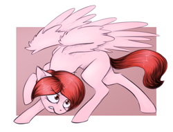 Size: 1280x978 | Tagged: safe, artist:marsminer, oc, oc only, oc:weathervane, pegasus, pony, solo