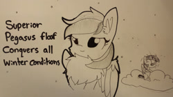 Size: 1280x720 | Tagged: safe, artist:tjpones, rainbow dash, twilight sparkle, twilight sparkle (alicorn), alicorn, pegasus, pony, chest fluff, cloud, cold, cute, duo, ear fluff, fluffy, freezing, grayscale, impossibly large chest fluff, monochrome, shivering, snow, snowfall, winter