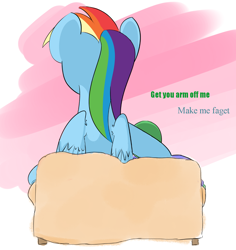 Size: 1200x1273 | Tagged: safe, artist:askcanadash, rainbow dash, oc, oc:anon, human, pony, giant pony, grammar error, holding, macro, sofa, vulgar