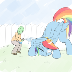 Size: 1100x1100 | Tagged: safe, artist:askcanadash, rainbow dash, oc, oc:anon, human, pegasus, pony, :<, covering, face down ass up, frown, giant pony, macro, one eye closed, spray bottle, water, wavy mouth, wide eyes, wing hands