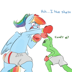 Size: 800x800 | Tagged: safe, artist:askcanadash, rainbow dash, oc, oc:anon, human, pony, alternate hairstyle, bipedal, black eye, boxing, boxing gloves, clothes, giant pony, macro, open mouth, ponytail, random, shorts, size difference