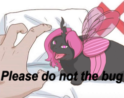 Size: 1241x988 | Tagged: safe, artist:sugar morning, derpibooru import, oc, oc only, oc:elytra, cat, changeling, pony, meme, pink changeling, ponified, solo